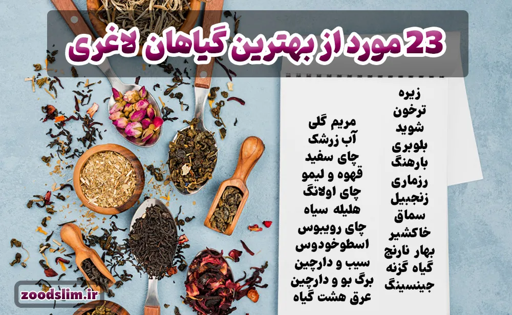 23 مورد از قویترین گیاه لاغری