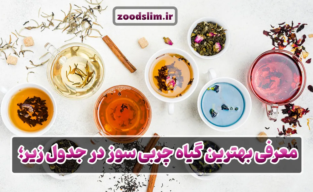 معرفی بهترین گیاه چربی سوز در جدول