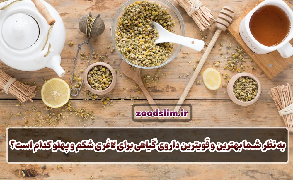 به نظر شما بهترین و قویترین داروی گیاهی برای لاغری شکم و پهلو کدام گیاه است؟