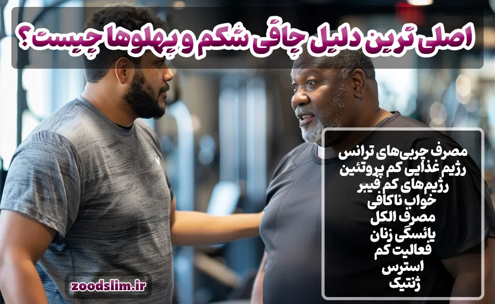 اصلی ترین دلیل چاقی شکم و پهلوها چیست؟ (چربی شکم و پهلو نشانه چیست)