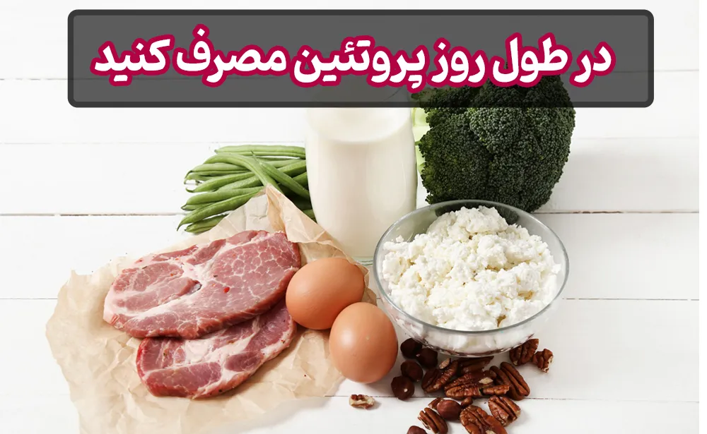 در طول روز پروتئین مصرف کنید
