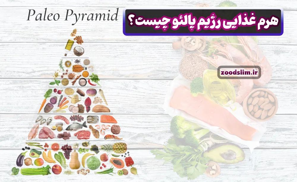 هرم غذایی رژیم پالئو چیست؟