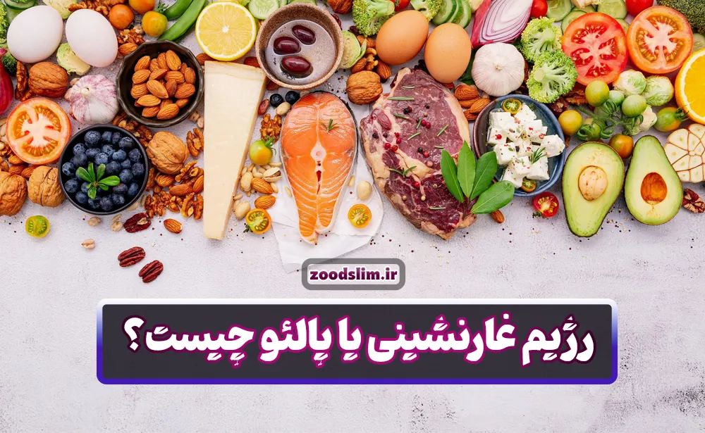 رژیم غارنشینی یا پالئو چیست؟