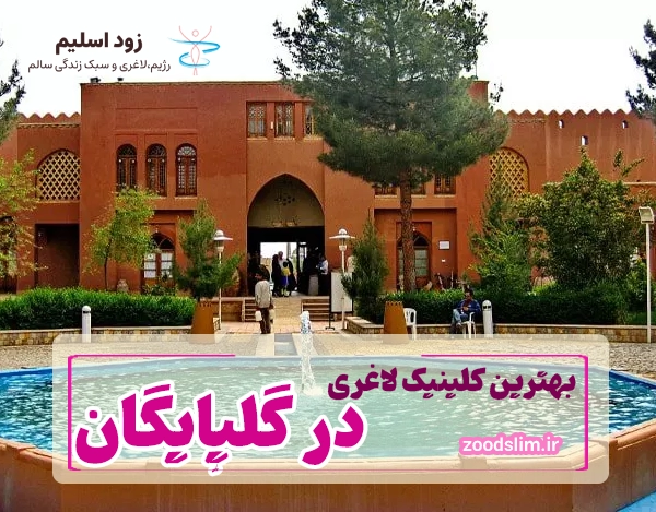 متخصص تغذیه در گلپایگان