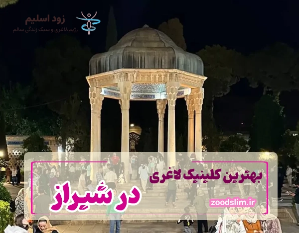 بهترین کلینیک لاغری و دکتر تغذیه در شیراز